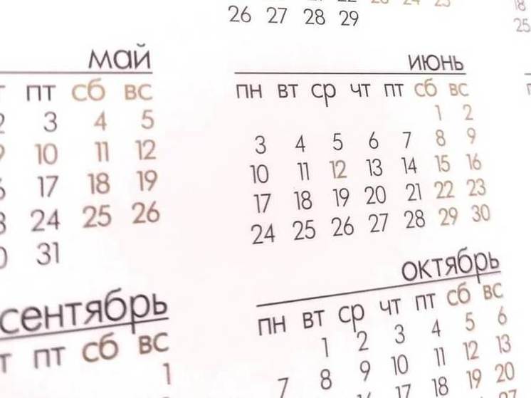 Стало известно, какой новый профессиональный праздник появится в России