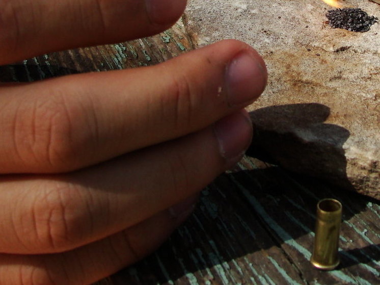 Ростех начал производить порох из древесной целлюлозы, не уступающий традиционному