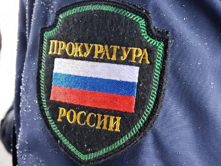 Пять учебных заведений СПО Новосибирска не готовы принять детей бойцов спецоперации