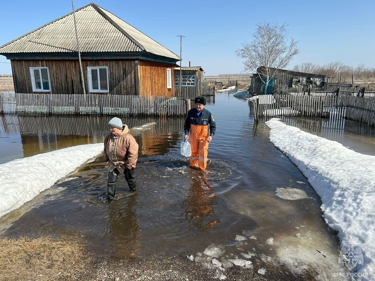 Подтоплено 40 населенных пунктов Алтайского края