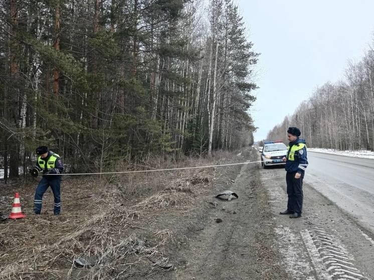 Рено влетел в дерево возле Нижнего Тагила, пострадал ребенок