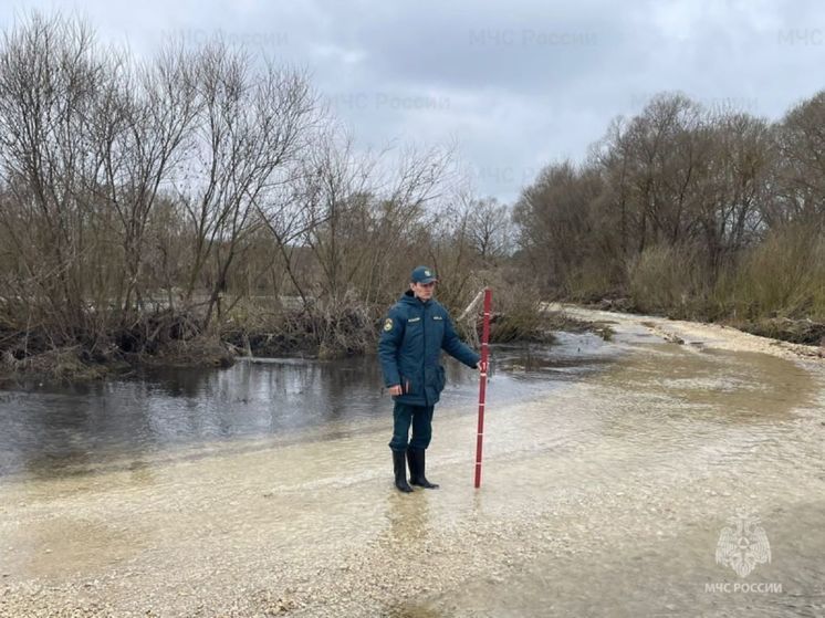 На Орловщине все мосты освободились от воды