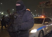 Полиция Петербурга провела масштабный рейд на дорогах города с целью выявления нарушений ПДД и миграционного законодательства. Об этом сообщили в ГУ МВД по городу и области.