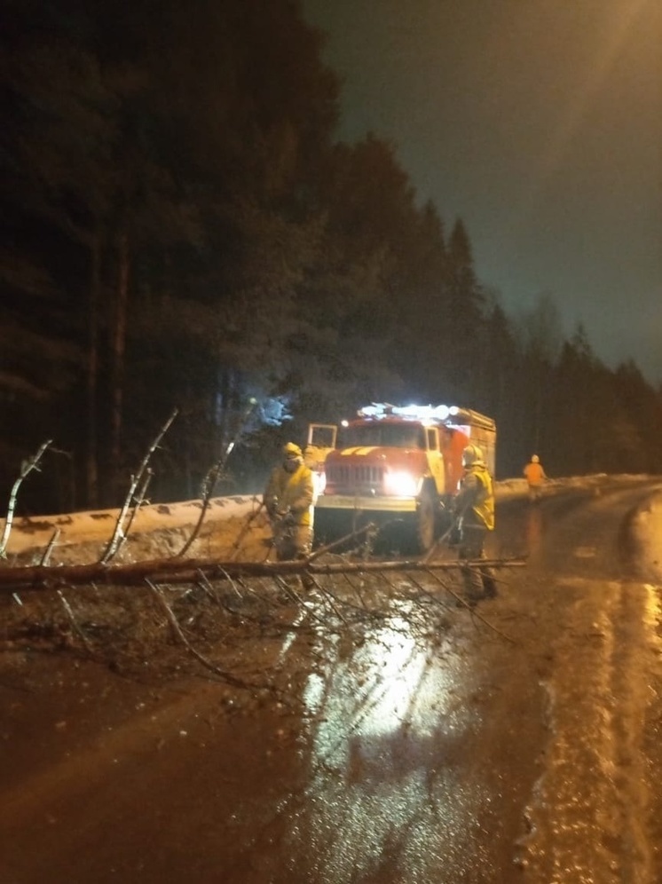 Упавшее дерево перекрыло шоссе в Петрозаводске