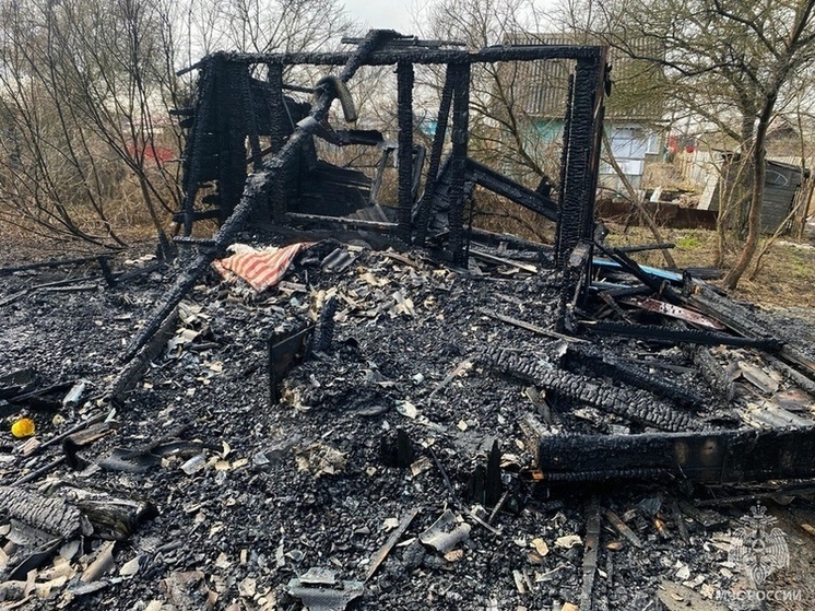 Бесхозный старый дом сгорел на дачных участках в Череповце