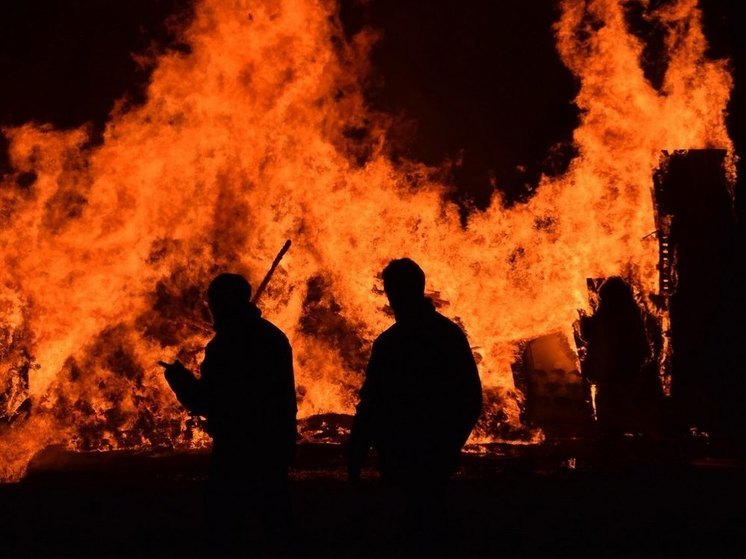 Пожар в воронежском дачном поселке Рыбачий тушили 36 спасателей