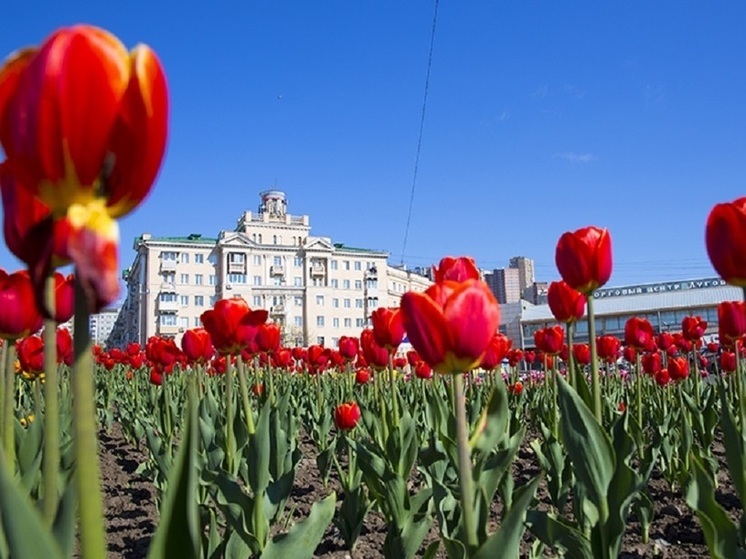 Запрет на праздники отменен во Владивостоке