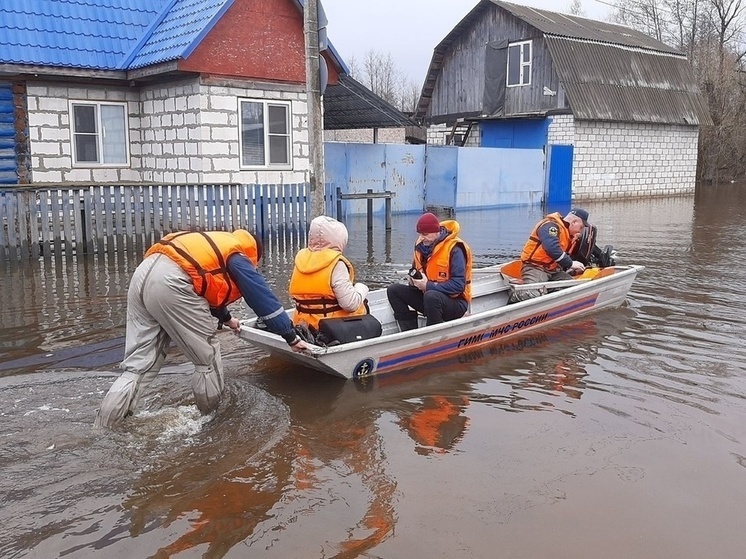 Из-за паводка 416 территорий затоплено в Брянской области