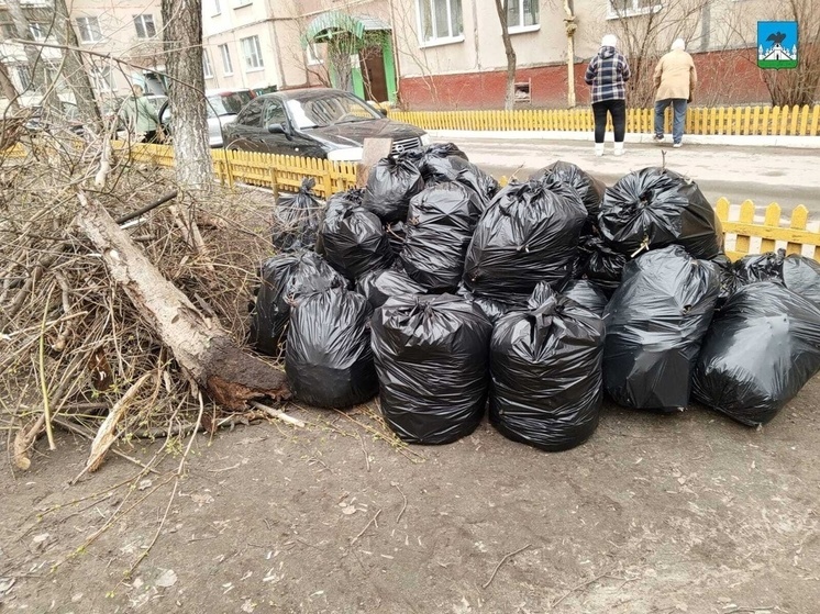 В Орле на улице Черкасской собрали 35 мешков листвы и мусора