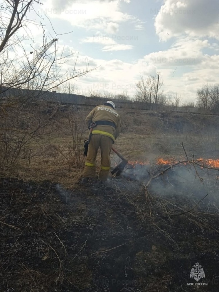 В пяти районах Орловщины горела сухая трава