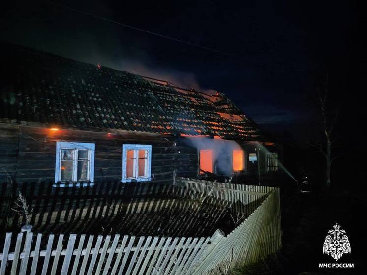 В Рамешках Тверской области пожар унес человеческую жизнь
