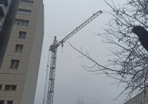 Строительство проходило под руководством главной строительной компании России