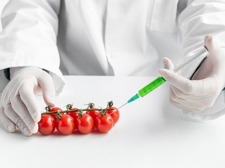 Алтайский эксперт рассказал о вреде ГМО