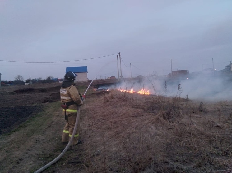 Липецкие пожарные за неделю 52 раза выезжали на тушение сухой травы