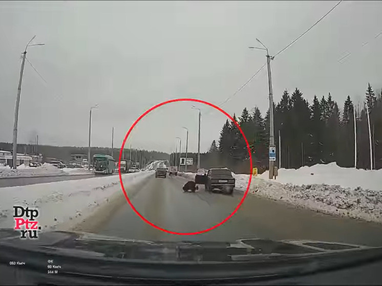 ГИБДД рассказала, почему водитель на ходу выпрыгнул из машины в Петрозаводске