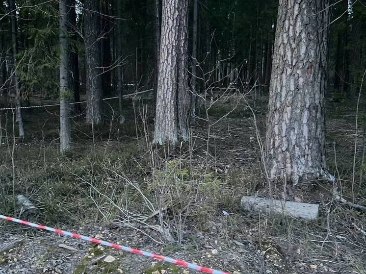 В деле о нападении на полицейских появился новый подозреваемый