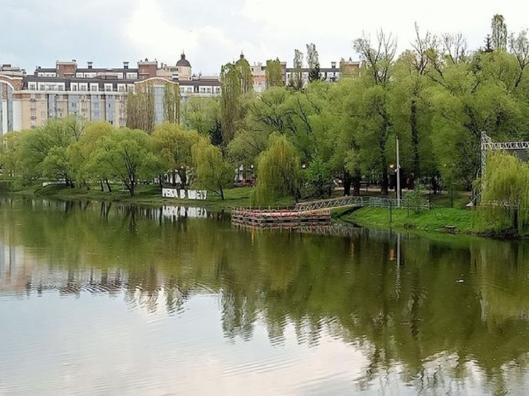Понтонную сцену в парке Победы Белгорода восстановит подрядчик по гарантии