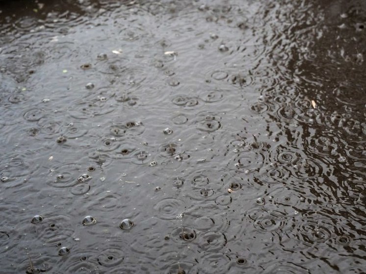 Дожди ожидают южноуральцев во вторник