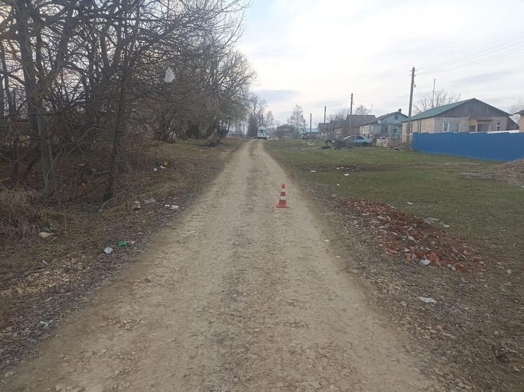 В Орловской области мужчина попал под колёса «Лады»
