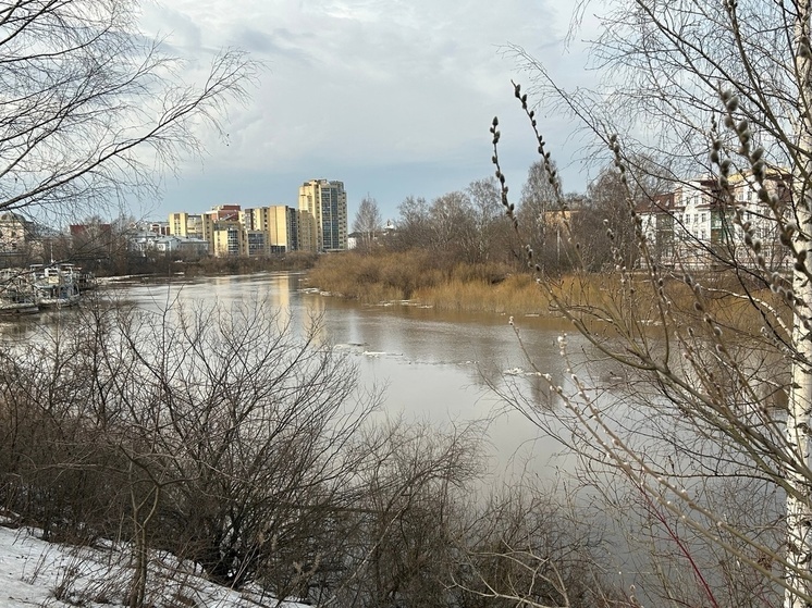 В реке Вологде постепенно снижается уровень воды