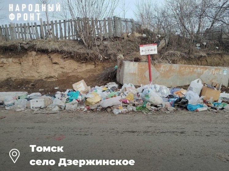 Неизвестные вывезли из томского села все мусорные контейнеры