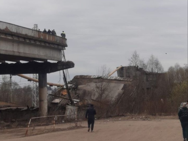 Один человек погиб и четверо пострадали при обрушении моста в Вязьме