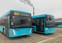 В Петербурге семь автобусов изменят схему движения из-за работ по реконструкции инженерных сетей. Об этом сообщили в пресс-службе комитета по транспорту Петербурга.
