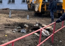 В Каменске-Уральском в заброшенной овощной яме обнаружили тела двух братьев 37 и 33 лет без признаков криминальной смерти