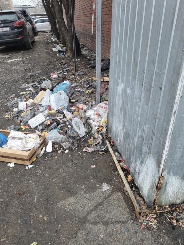 Жители Кызыла пожаловались на мусор от крупного магазина