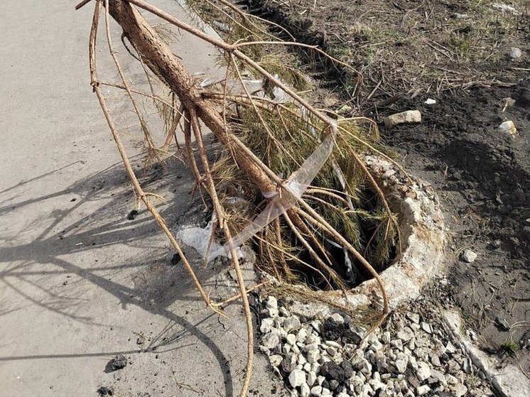 Пензенцам сообщили, что колодец, в который упал ребенок закрыли