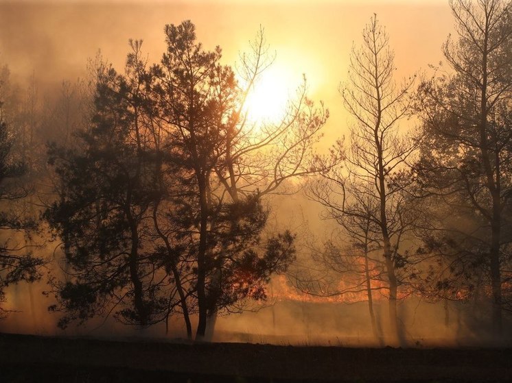 В Астрахани потушили крупный ландшафтный пожар