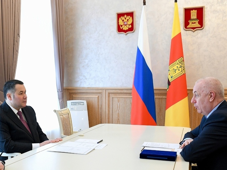 Игорь Руденя провел встречу с главой Бердянска