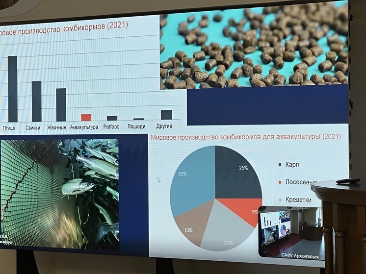 Эксперты России и Белоруссии обсудили в Архангельске вопросы развития аквакультуры