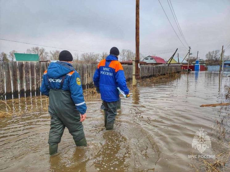 В Курганской области введен режим ЧС регионального уровня