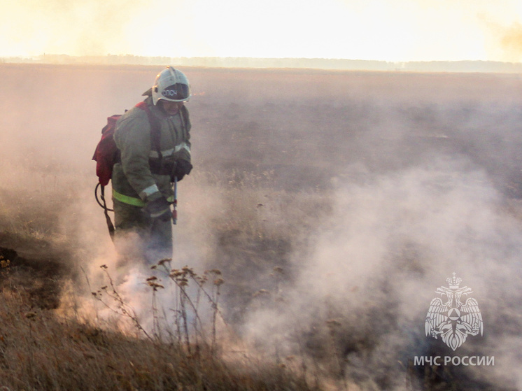 Ландшафтные пожары охватили Алтайский край