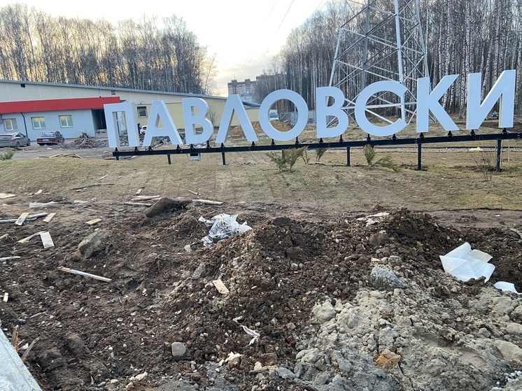 Жители Ярославля засняли разруху в Павловской роще