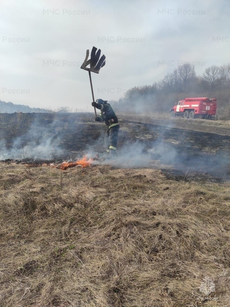 На Орловщине за сутки зафиксировали 13 случаев горения сухостоя