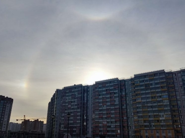 Жители Невского района заметили в небе солнечное гало