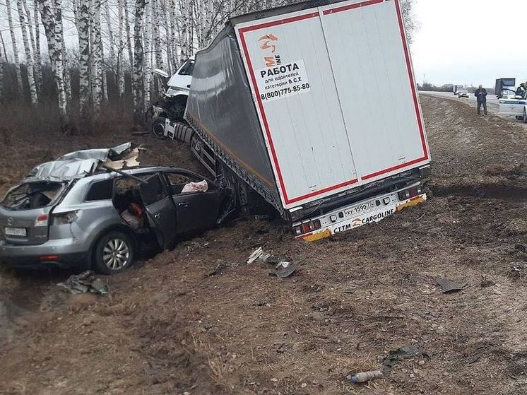 По факту ДТП с шестью погибшими под Рязанью возбуждено уголовное дело