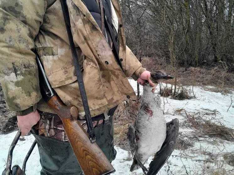 В Пензенской области было выявлено 10 нарушений в весенний сезон охоты