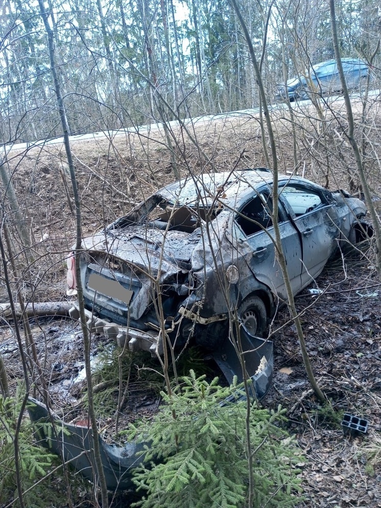 В Тверской области легковушка съехала в кювет: есть пострадавшие