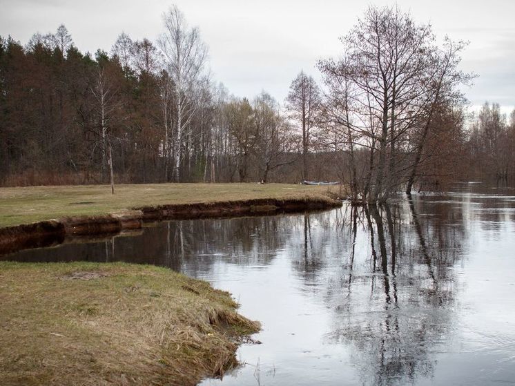 Гроза в Подмосковье сегодня ожидается после 21:00