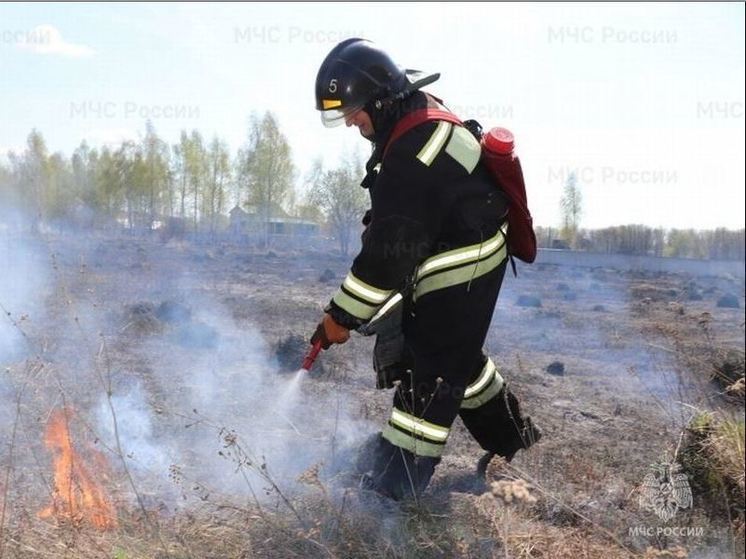 В Орловской области составили 152 протокола за сжигание сухой растительности