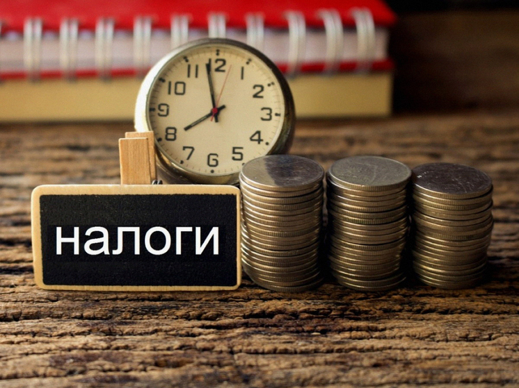 Жители Запорожской области могут рассчитывать на послабление в уплате налогов