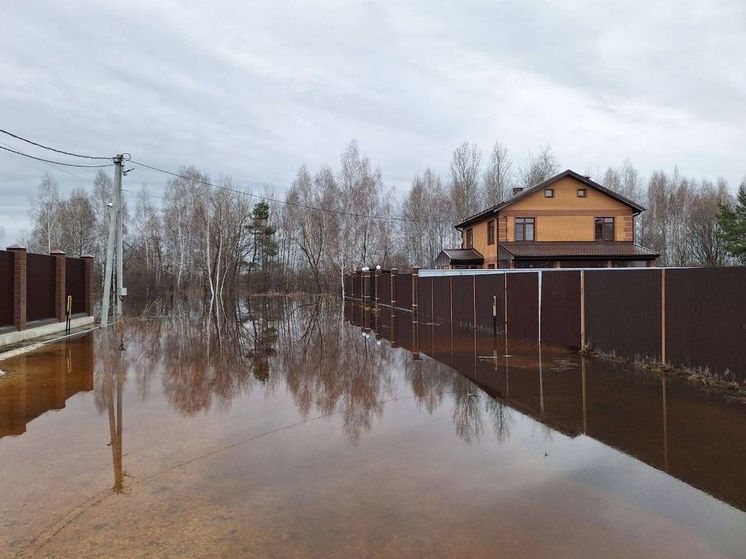 В Алеканове под Рязанью затопило коттеджный посёлок «Ласточка»