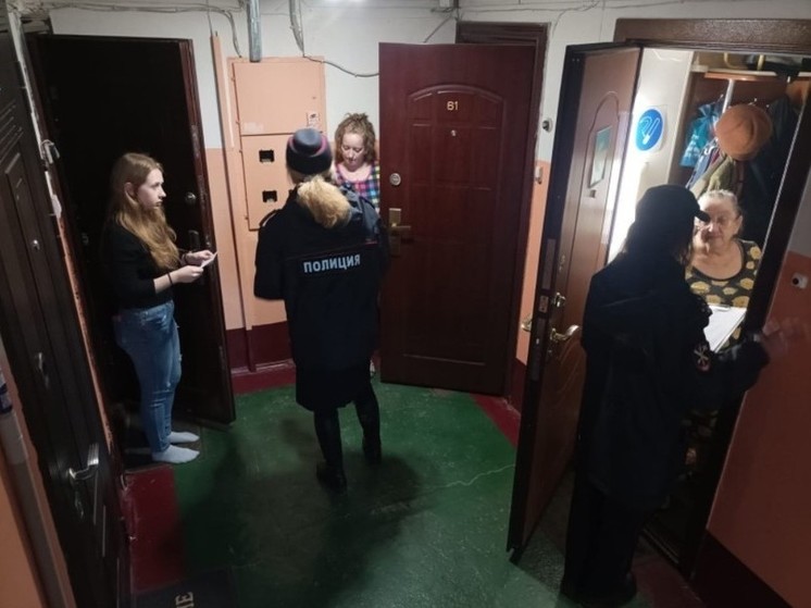 Новгородские полицейские провели рейд по профилактике дистанционного мошенничества