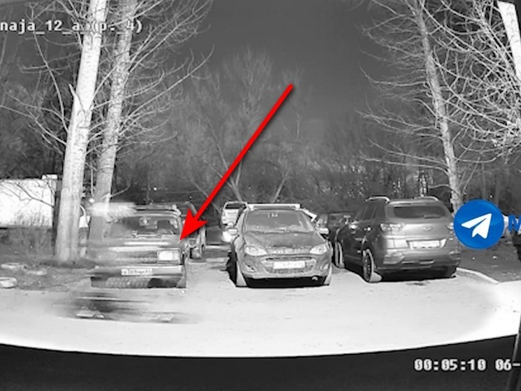 Жительница Солнечного пыталась догнать велосипедного вора
