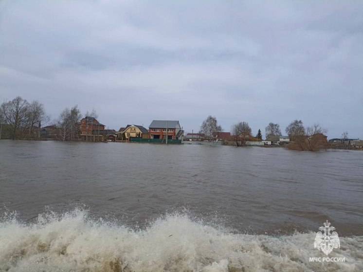 МЧС: За сутки уровень воды в Оке в Рязани повысился на 10 сантиметров