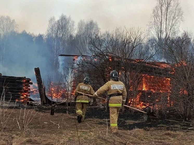 В Марьевке Кадомского района сгорели 6 нежилых строений