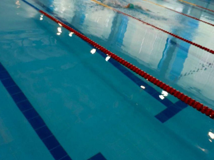 В Новосибирске родители спортсменов по водному поло обратились в Следственный комитет